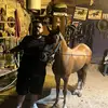 Michele Mancuso - @michelemancuso68 - TikTok
