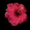 michele marcus - @michele.marcus - TikTok