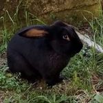 Markeljan Michele Hoxha - @markeljanmichele - Instagram
