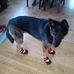 Michele Markell - Facebook