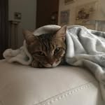 michele.marsiglietti@gmail.com - @michele.marsiglietti9 - Instagram
