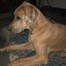 Michelle Mars - Facebook