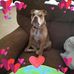 Michelle Mars - Facebook