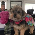 Michele McDowell - @michele_mcdowell - Instagram