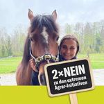 Michèle Meier - @mischi.meier - Instagram