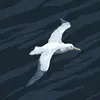 MELVIN MICHELE - @melvin.michele6 - TikTok