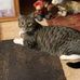 Michele Melvin - Facebook