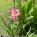 Michele Messer - Facebook