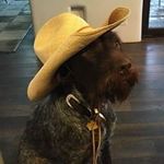 Michele Messer Martin - @michelemartin3907 - Instagram