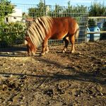 Michele Messere - @michelemessere4246 - Instagram