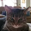 Michele Mignone-Azzara - @michelemignoneazz - TikTok
