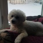 Michele Mignone Pinto - @mignonepinto - Instagram