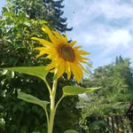 Michele Milan - @michelemilantoronto - Instagram