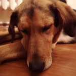 Michele minelli - @minelli1508 - Instagram