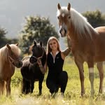 Michelle Moritz - @ellis_horseland - Instagram