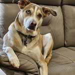 Michele Moskowitz Traugutt - @mtraugutt - Instagram