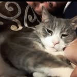 Michelle Moskowitz - @michellewillnevertell00 - Instagram