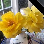 Michele Mullins - @michele.mullins.90 - Instagram