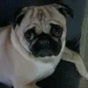 michelemullins969 - @michelemullins969 - TikTok