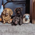 Michele Munson - Facebook