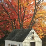 Michelle Munson - @michellemunson.art - Instagram