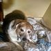 Michelle Neff - Facebook