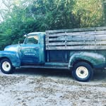 Michele Newton - @queenbfarm1995 - Instagram
