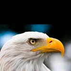 Michele Newton - Facebook