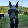 Michele_dno - @michele_der_nice - TikTok