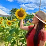 Michele - @michelealvesnowakosk - Instagram