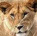 Michele Nowak - Facebook