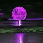 Michelle Ober - Facebook