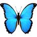 Michele Ouellette - Facebook