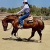 Michelle Ouellette - @michelle_christina - TikTok