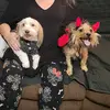 Michelle Ouellette Ohde - @mrsoh427 - TikTok