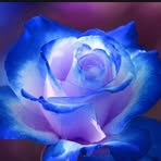Michele Panetta - Facebook