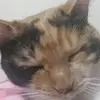 MichelePatrick - @mabelfps073 - TikTok