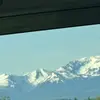 Michelle  Patrick - @michelle.patrick28 - TikTok