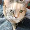 Michelle Patrick - @michelle.patrick39 - TikTok