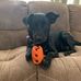 Michelle Pecora - Facebook