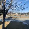 michelevpederson - @michelevpederson - TikTok