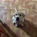 Michele Perri - Facebook