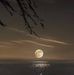 Michele Perri - Facebook