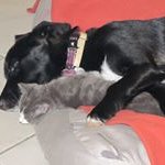 Michèle Perrin - @micheleperrin43210 - Instagram