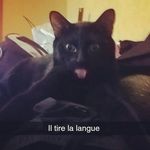 michele perrin - @michele.perrin42400 - Instagram