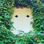 Michèle perrin - @houlaheup - Instagram