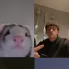 Michele Petta177 - @_micchi2 - TikTok