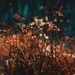 Michele Ann Phelps - @michele_phelpsphotography - Instagram