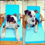 Michele Phelps - @mispoti38b - Instagram