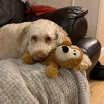 Michele Philip - @michele.philip5 - Instagram